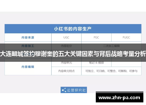 大连鲲城签约穆谢奎的五大关键因素与背后战略考量分析