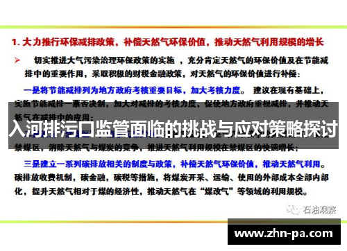 入河排污口监管面临的挑战与应对策略探讨