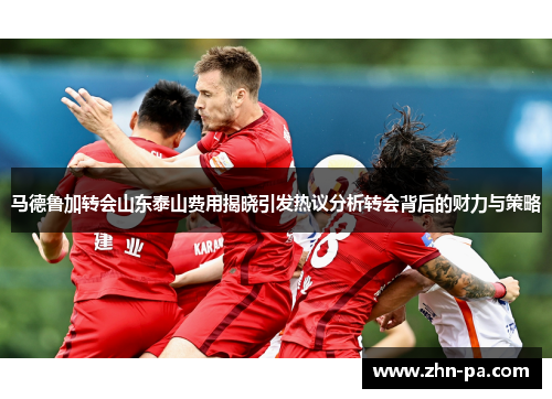 马德鲁加转会山东泰山费用揭晓引发热议分析转会背后的财力与策略
