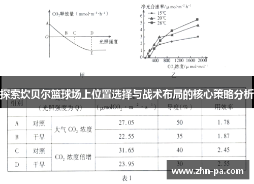 探索坎贝尔篮球场上位置选择与战术布局的核心策略分析