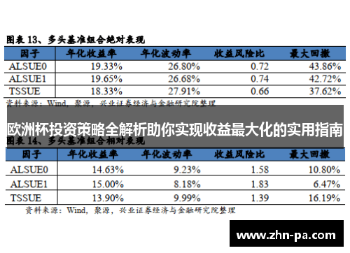 欧洲杯投资策略全解析助你实现收益最大化的实用指南