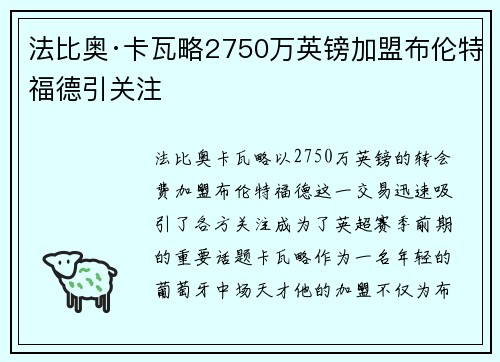 法比奥·卡瓦略2750万英镑加盟布伦特福德引关注